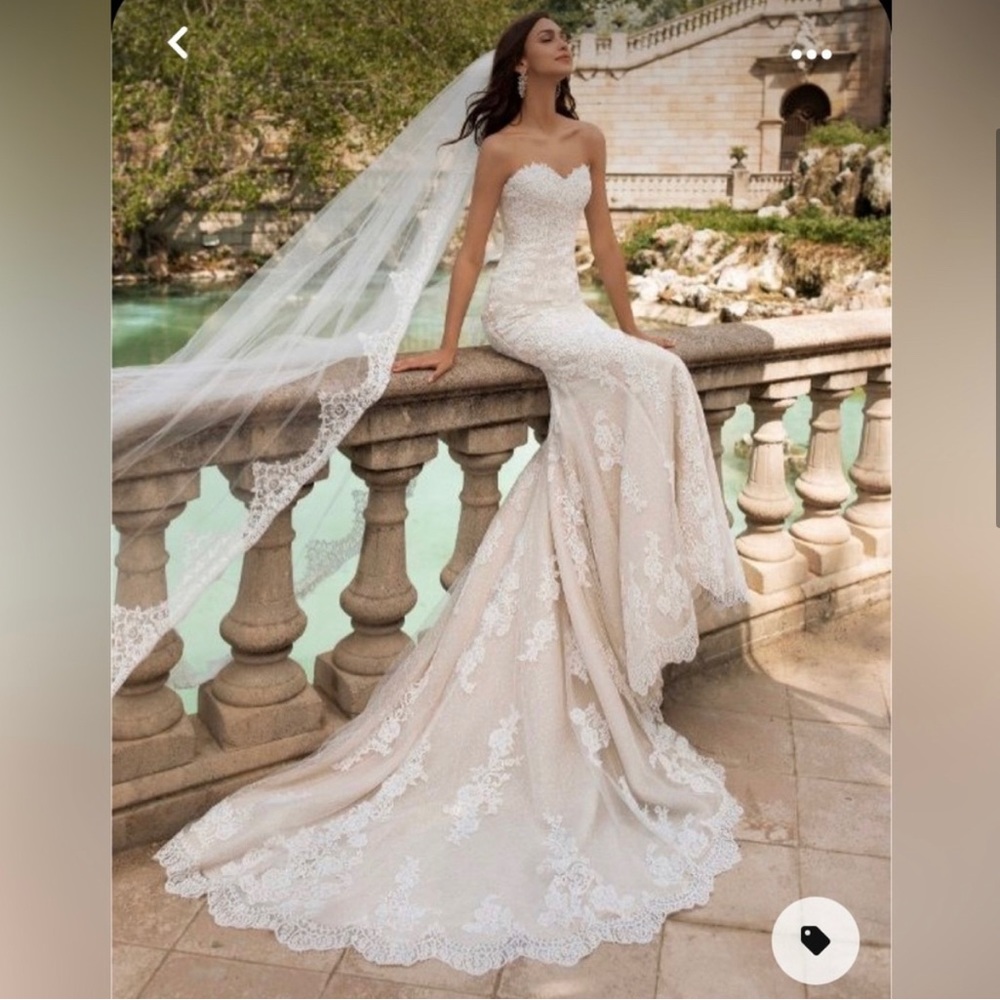 PRONOVIAS PRINCIA DRESS ORIGINALLY $3500 plus paid for embezzling already. $270